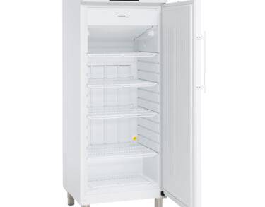 Armoire négative -20°C, 486 litres