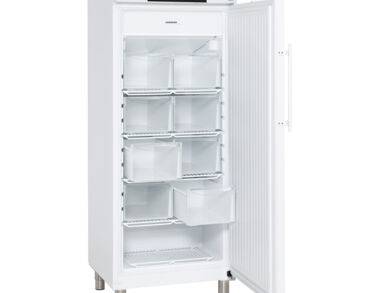 Armoire négative -20°C, 486 litres