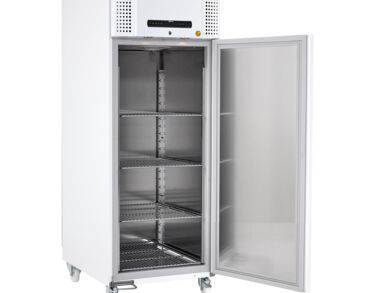 ARMOIRE NEGATIVE QUALIFIABLE BIOPLUS 600L -25 °C +/-5K